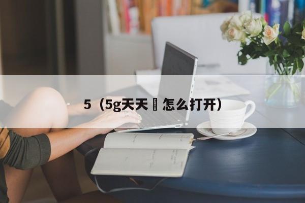 5（5g天天奭怎么打开）